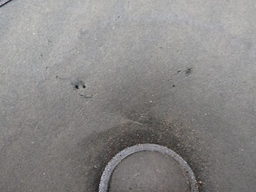 фото thumb №12, Динамік сабвуфер підсилювач оригінал 96370-g2100 hyundai ioniq електричний 17r