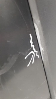 фото thumb №9, Vw golf 8 alltrack 2020-2023 kombi бампер задняя