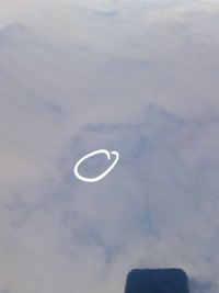 фото thumb №7, Двері праві зад задні nissan qashqai j10 +2 bw9g