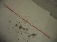 фото thumb №14, A1697270422 планка хром mercedes w169