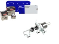 Delphi lm30009 цилиндр Доставка, фото thumb