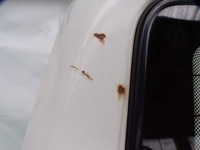 фото thumb №6, Volkswagen transporter t4 дверь левая задняя задние