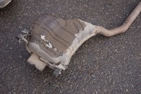 фото thumb №13, Выхлоп гаситель конечный vw phaeton w12 6.0 3d0253611c 3d0253611b 3d0253411c