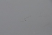 фото thumb №11, Hyundai i40 дверь правый задняя задние полный kombi