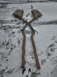 фото thumb №1, Гаситель конечный труба выхлопная mercedes s 221 w221 w2214913400