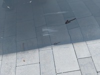 фото thumb №6, Дверь левая перед vw id3 id 3