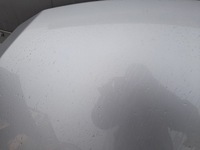 фото thumb №7, Peugeot 307 lift капот кришка двигуна ezrc