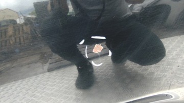 фото thumb №5, Porsche cayenne i 955 двері ліві задні зад передні 7l5