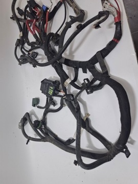 фото thumb №6, Установка джгут двигуна renault kangoo ii iii рестайлінг z.e. 13-21 #7888