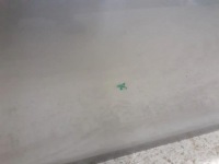 Дверь передние перед правое vw golf vii 7 5g0 2013-2019r Недорого, фото thumb