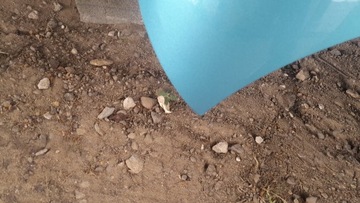 фото thumb №10, Renault zoe капот крышка двигателя 12-19r идеальная oe!