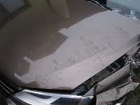 фото thumb №6, Капот перед кришка vw jetta vi 2012 рік передній рестайлінг lh8z