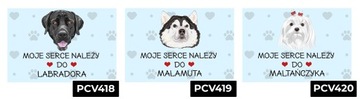 TABLICZKA PCV NIEBIESKI 22X15CM MOJE SERCE NALEŻY DO BEAGLE PREZENT WZORY