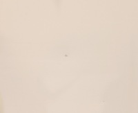 фото thumb №7, Man tge двері задні бампер балка кути kpl