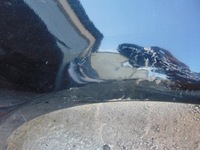 фото thumb №13, Крила правий перед audi a6 c6 чорний