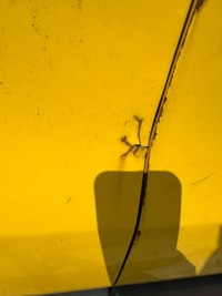 фото thumb №3, Дверь зад задние левая ford transit mk8 средний