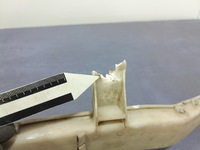 фото thumb №7, Toyota prius ii 03- шланг акумулятор акумулятора 82164-47060