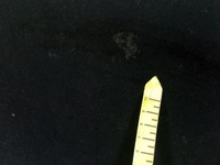 фото thumb №8, Renault kangoo ii 07-21 люк крыша откидной 2216483 2216484