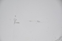 фото thumb №6, Капот крышка двигателя opel astra j iv