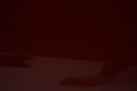 фото thumb №6, Kia optima iv kombi дверь правый перед передние k3r