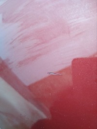 Jaguar xf 2015 крылья Недорого, фото thumb