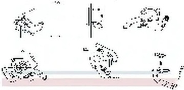 фото thumb №1, Радиаторов выхлопных газов 989449 nissens