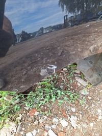 фото thumb №7, Чверть права задня задня правий bok kia proceed pro ceed ii 1k 2012-