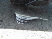 фото thumb №10, Дверь правый задняя mercedes glk w204 lift