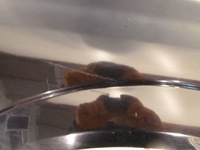 фото thumb №8, Крила правий opel astra h z20r 2004r.