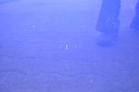 фото thumb №5, Ford grand c-max ii двері лівий перед ліва передні