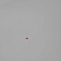 Ford transit капот крышка двигателя frozen white z2 Доставка, фото thumb