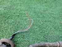 фото thumb №4, Джгут штекер супорт гальмівний задня renault scenic iii 09-