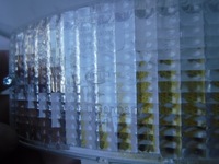 фото thumb №6, Лампа заднего вида man neoplan atego faun mercedes ivec