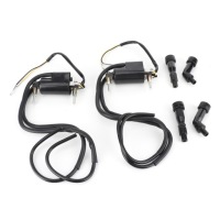 Набор катушек зажигания 21121-1174/21121-1001 заменитель подходящий к modeli Недорого, фото thumb