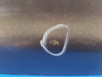 Крышка багажника багажника 84300-3ta0a nissan altima l33 12-18 в Украине, фото thumb