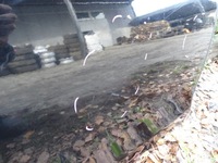 фото thumb №6, Peugeot 308 ii t9 двері правий задня ktvd hb