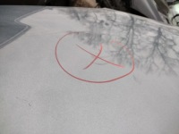 Капот citroen berlingo 3 ezwd Недорого, фото thumb