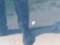 фото thumb №7, Капот 816 mercedes c w203 2,2 cdi