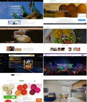 STRONA INTERNETOWA WWW ONEPAGE | RESPONSYWNA | DOMENA, HOSTING, SSL, CMS