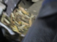 фото thumb №9, Піввісь лівий перед 13214836 opel zafira b 05-14r