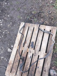 фото thumb №1, Citroen jumpy toyota proace jumpy expert провода топлива ?