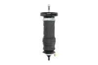 Купить Амортизатор кабины magnum технология abc 2003 a1, фото thumb