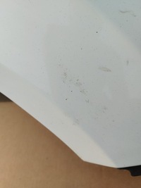 фото thumb №8, Крыло правый перед ford ka mk2 ii цвет f9 lata 2008-2016