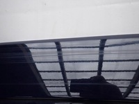 фото thumb №8, Dacia dokker 12-21 двері задня задні ліва