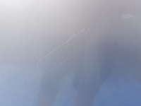 фото thumb №10, Капот audi a8 d3 ly7w