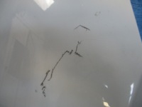 фото thumb №3, Крыло правый передний перед alfa romeo 159