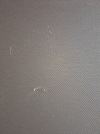 фото thumb №9, Панорама audi a4 b9 універсал 8w9877041b