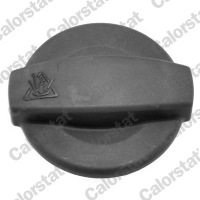 Бак розширювальний+ кришка calorstat by vernet Доставка, фото thumb