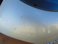 фото thumb №5, Кришка багажника багажника з скло задня peugeot 307 hb 5d eycc