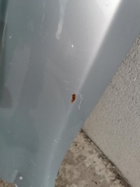 фото thumb №3, Крыло левый перед renault vel satis 8200018521